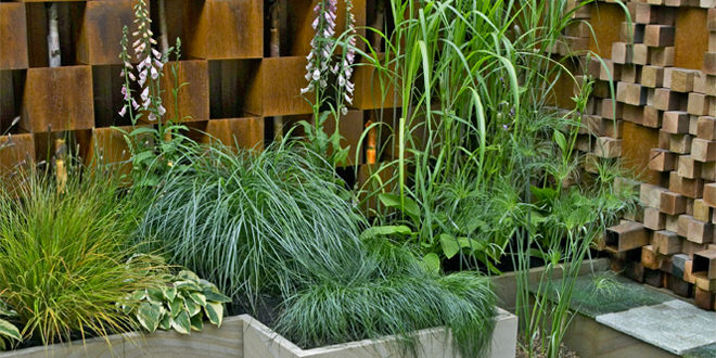 Come creare un giardino nellinterior design di casa ville&casali Creare un piccolo giardino in casa