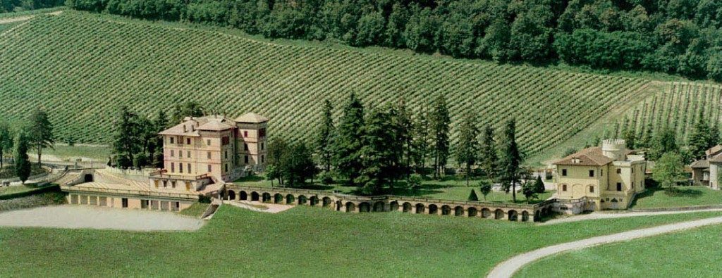 A Gavi, dieci cantine piemontesi si uniscono per un grande vino