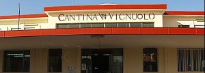 Cantina_Vignuolo
