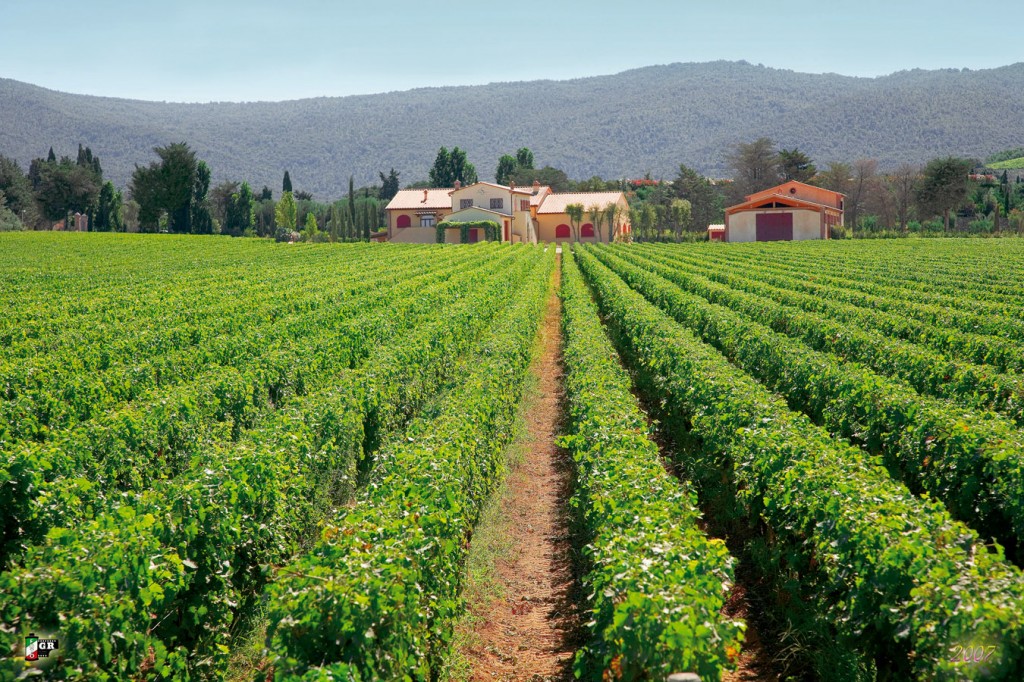 Foto panoramica esterna della cantina