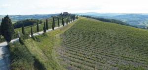 cantina todini