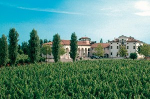 paladin bosco del merlo