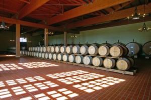 montemassi