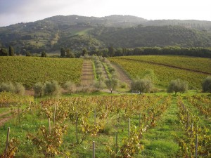 rubbia al colle