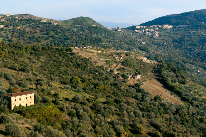 I colli dove nasce l'olio della Cooperativa Agricola Nuovo Cilento