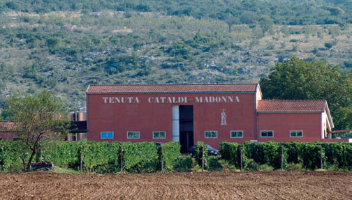 Cataldi Madonna: una cantina emblema d'Abruzzo