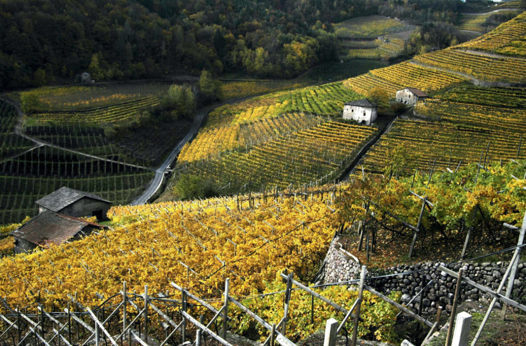 Val di Cembra per un weekend in Trentino