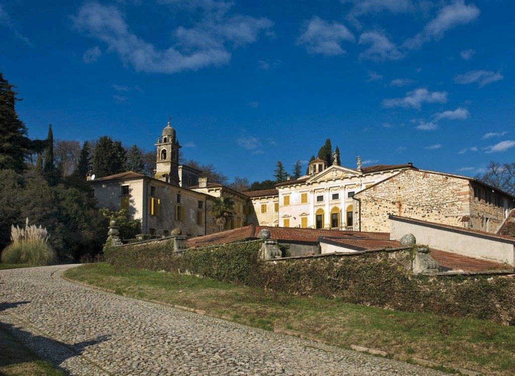 Valpolicella: vino, olio e non solo