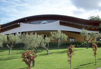 Cantina Zaccagnini: i signori del Montepulciano