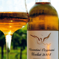 Cantina Vicentini Orgnani