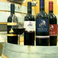 I vini di Grifalco prodotti a Genzano, in Lucania e a Montepulciano