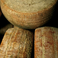 Pecorino di Forenza prodotto da Caggiano