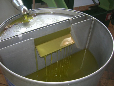 Olio AIAB - Orgiaglia