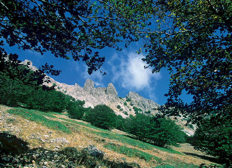 Il Parco delle Madonie: tra mare e monti