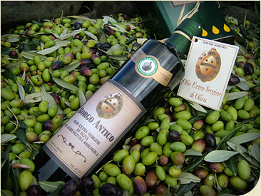 olio Gerace 1