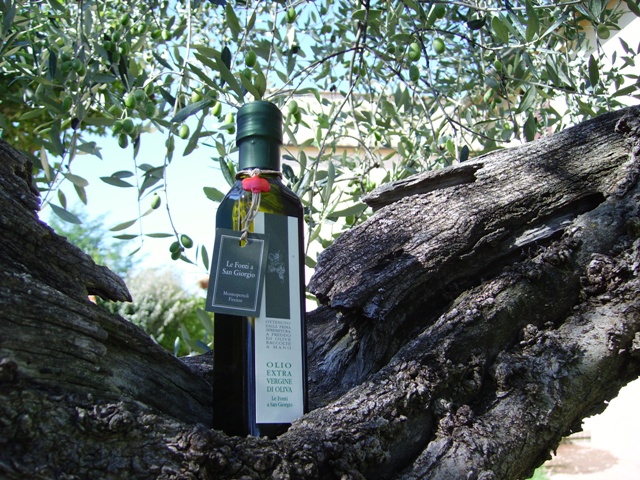 olio fonti a san giorgio
