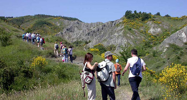 Visite guidate Parco dei Gessi Bolognesi