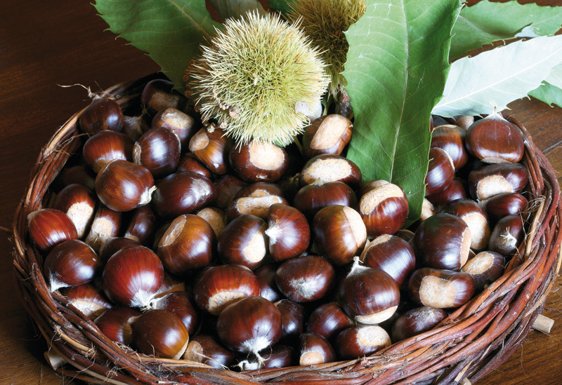 Sagra delle Castagne a Soriano nel Cimino