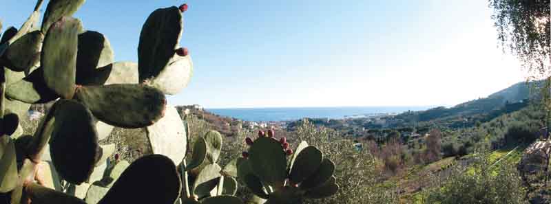 Gita di primavera: Riviera di Ponente