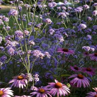 Il giardino colorato di Anthony Paul in Bretagna