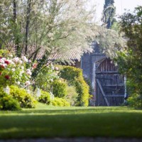 Primavera di rose al Castello Quistini