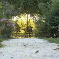 Primavera di rose al Castello Quistini