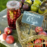 Frutta e colore nel giardino della casa di campagna