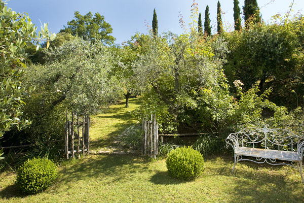 Giardino-Rita-Oliva