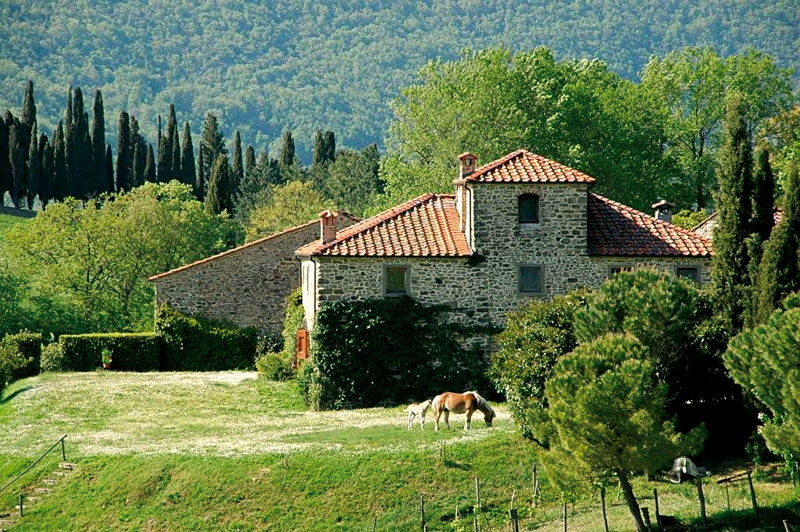 Ponte di Ognissanti - Fattoria Il Trebbio (AR)