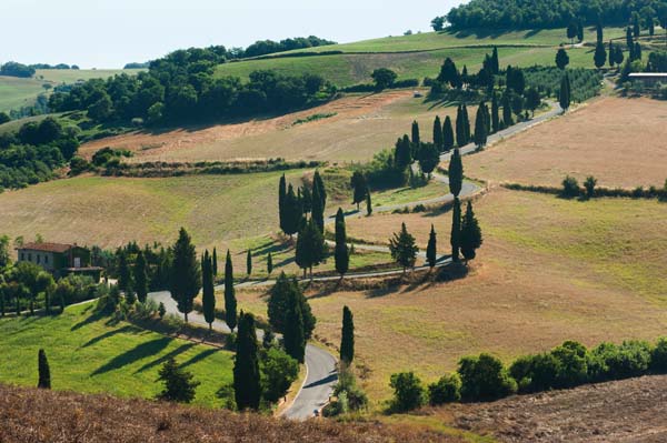 Le caratteristiche curve della Val d'Orcia