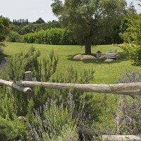 Scorcio del giardino mediterraneo della villa