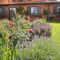 Profumi e sfumature nel giardino della Massini