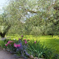 Il viale fiorito che porta alla proprietà