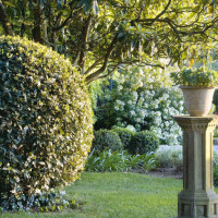 Dettagli del giardino