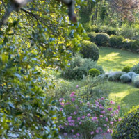 Dettagli del giardino