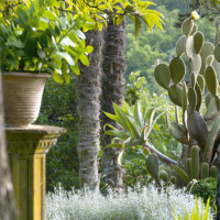 Dettagli del giardino