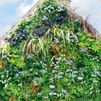 Il tetto verde della casa adiacente al giardino
