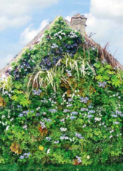 Il tetto verde della casa adiacente al giardino