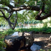 Un altro scorcio del giardino