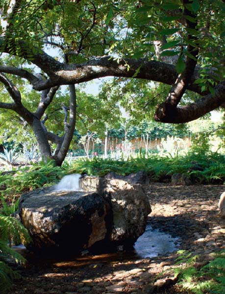 Un altro scorcio del giardino