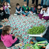 Arti-e-Horti-2013