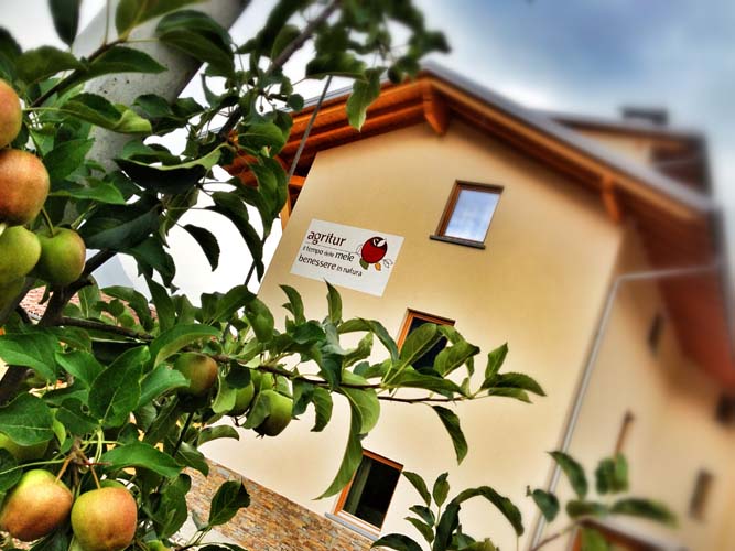 Offerte Agritur il Tempo delle Mele (TN)