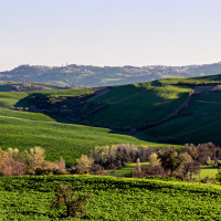 Cantine Aperte 2014: a Terracruda vedi ciò che bevi