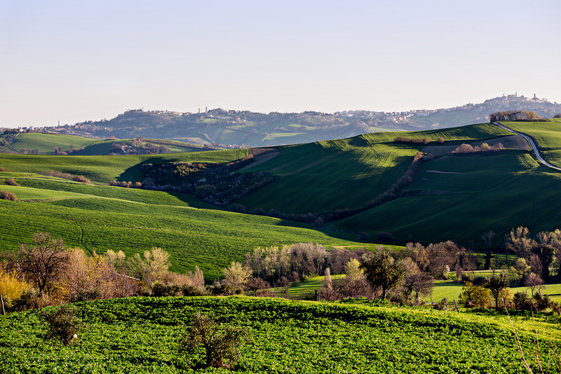 Cantine Aperte 2014: a Terracruda vedi ciò che bevi