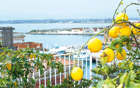 La sentinella di Ortigia