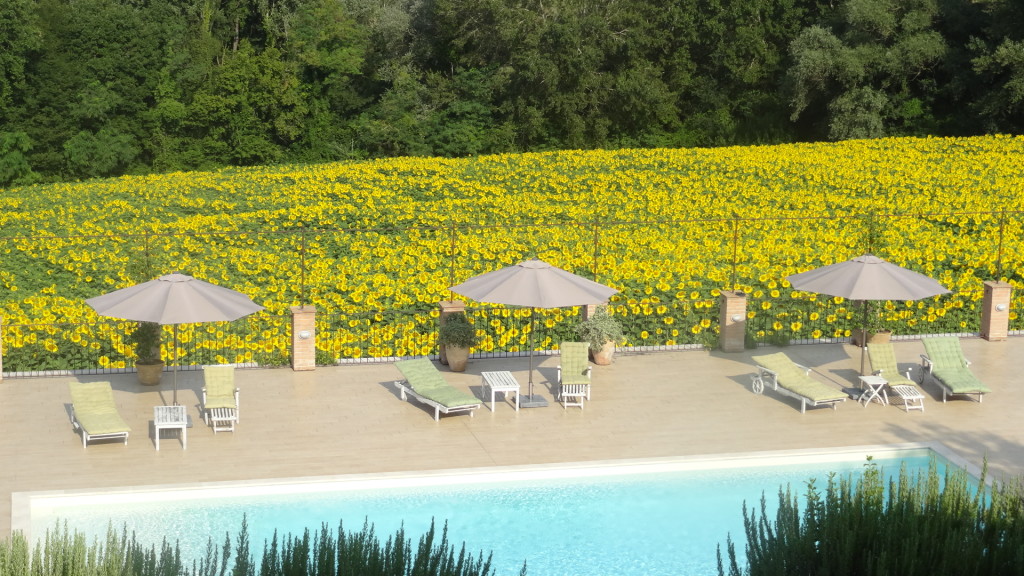 Ferragosto in campagna da Tara