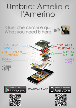 manifesto_app_ameria-2014