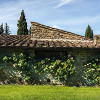 Ritorno alla natura nel Chianti