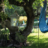 Ritorno alla natura nel Chianti