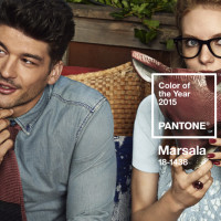 Marsala: colore dell'anno 2015 secondo Pantone
